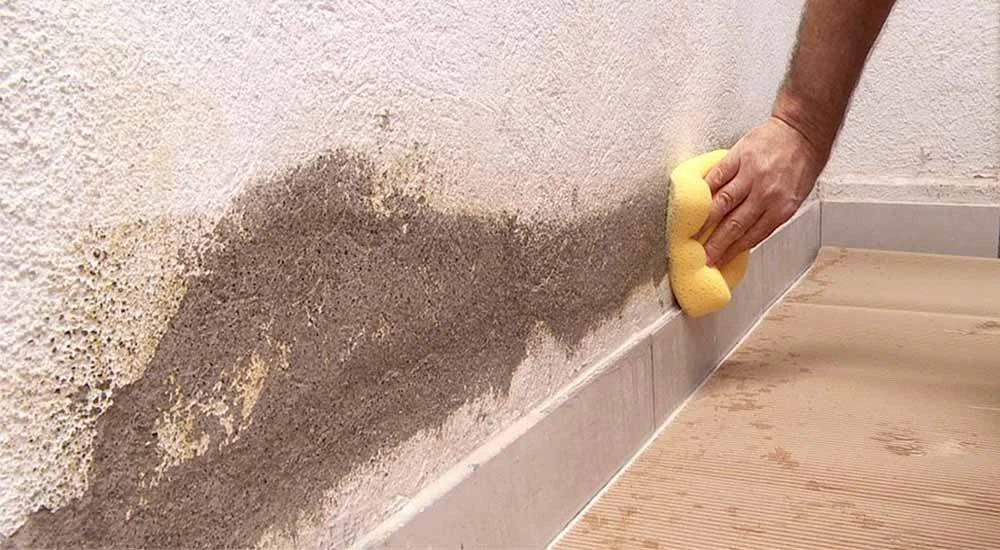 Como eliminar la humedad de una pared